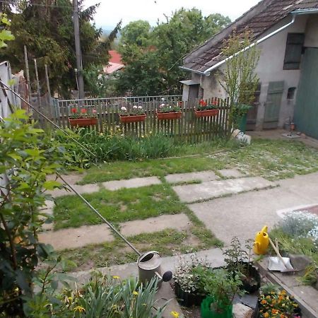 U Babicky A Jeji Psi Smecky Guest House Veselicko Ngoại thất bức ảnh