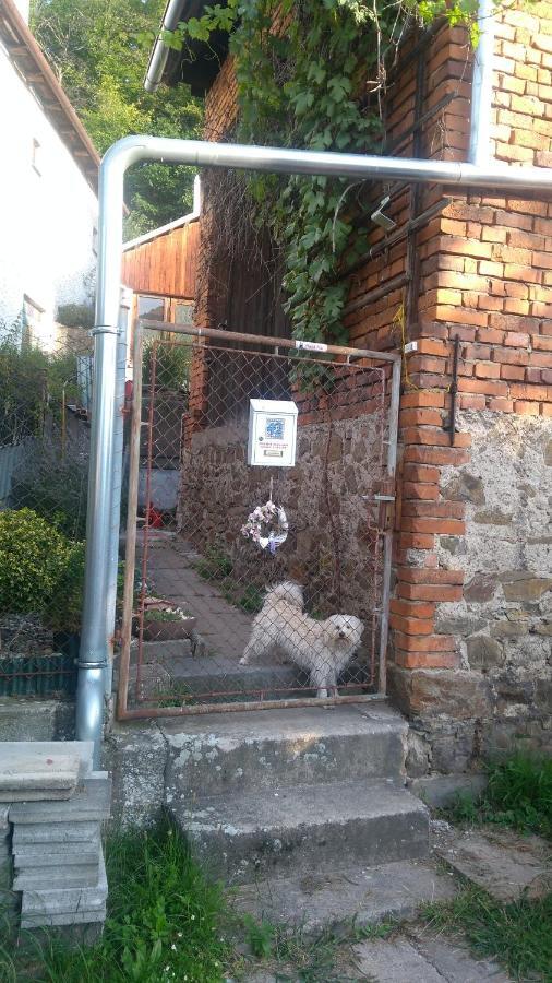 U Babicky A Jeji Psi Smecky Guest House Veselicko Ngoại thất bức ảnh